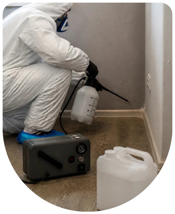 Устранение стойкого запаха мочи в Малгобеке профессионально